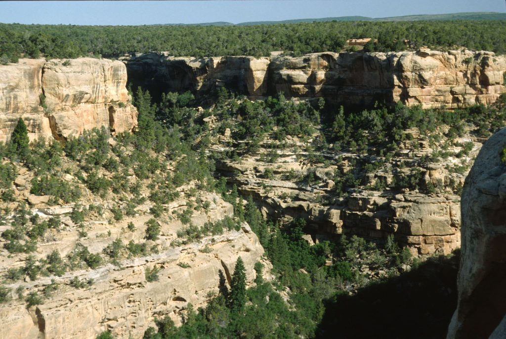 Mesa Verde Canyon walls, Colorado, USA