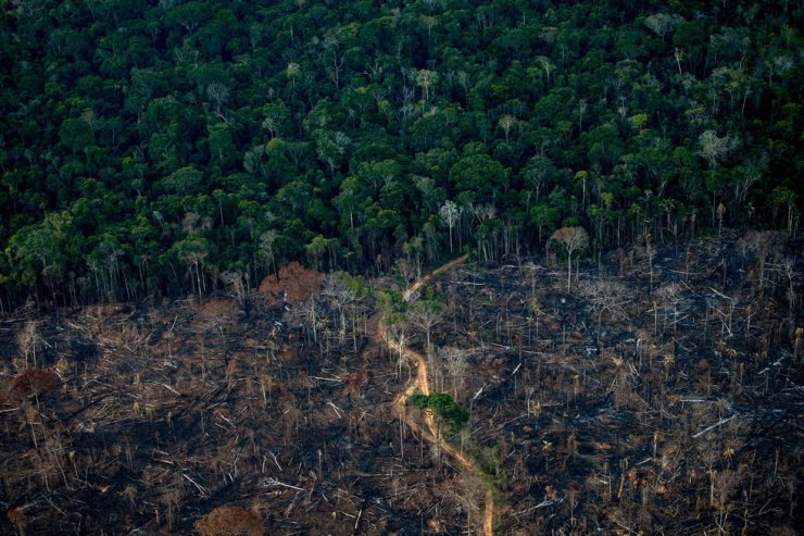 Aerial view show a deforested area of Amazonia rainforest in Labrea, Amazonas state, Brazil, Sept. 15, 2021. AFP-Yonhap