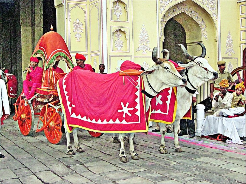 Teej Festival, Jaipur