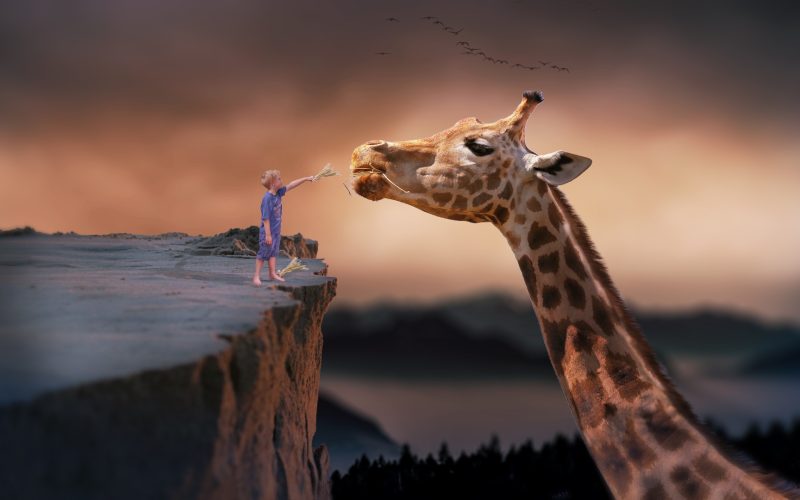 Giraffe and child