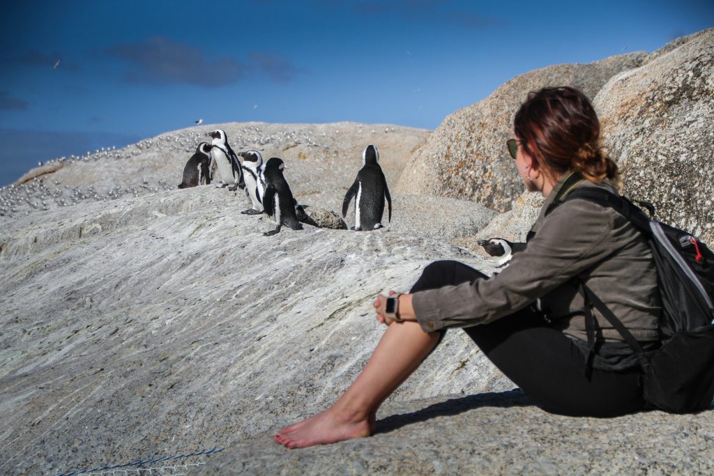 Traveler enjoying with Penguins