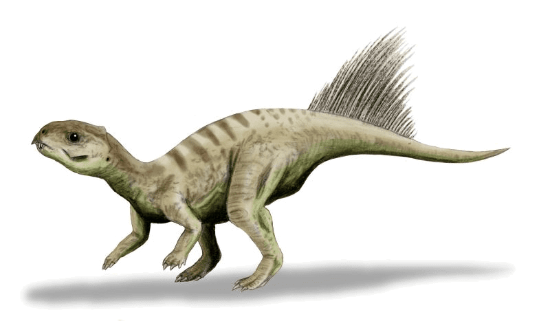Chaoyangsaurus