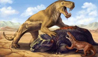 Giant gorgonopsian Inostrancevia with its dicynodont prey, scaring off the much smaller African species Cyonosaurus