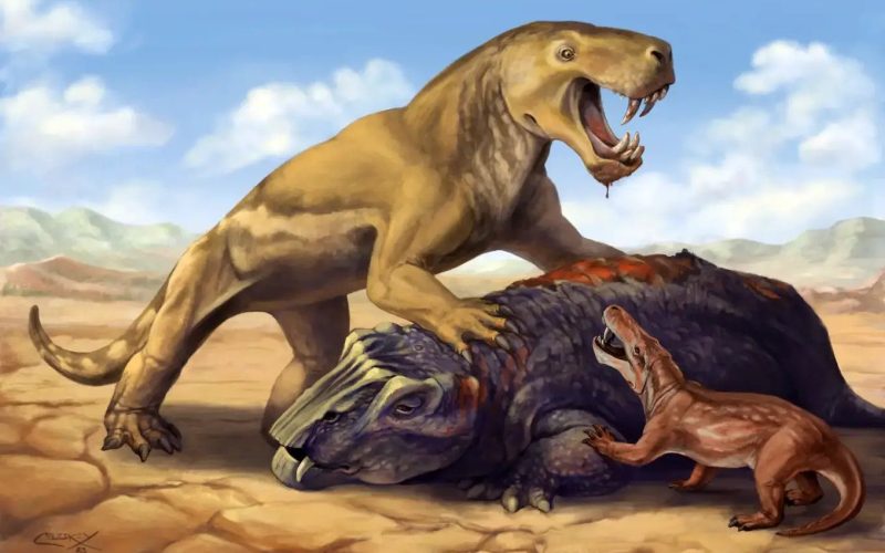 Giant gorgonopsian Inostrancevia with its dicynodont prey, scaring off the much smaller African species Cyonosaurus