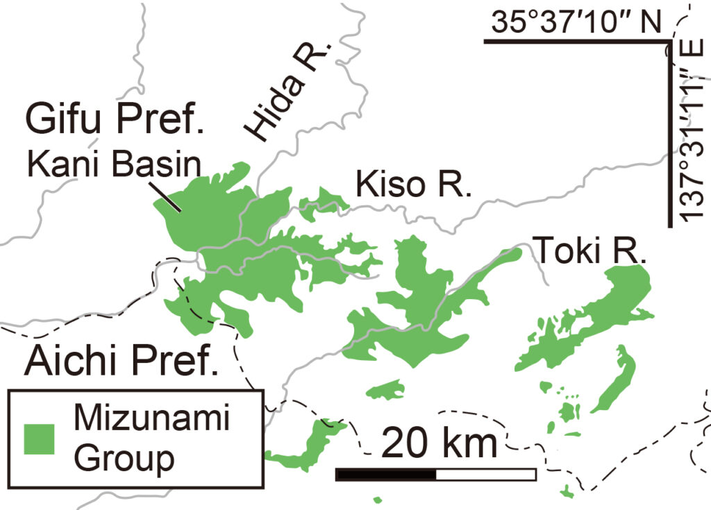 Green area highlights the Mizunami group, a geological formation of which the Kani Basin, where the study site was located, is a part. 