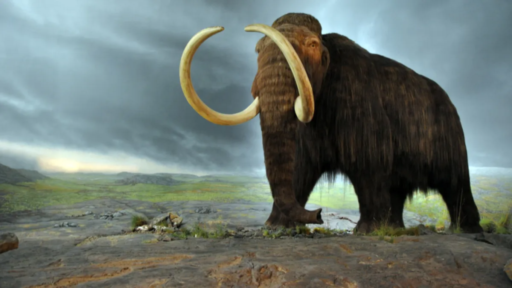 Dallas-based company called Colossal Biosciences which is working to de-extinct the woolly mammoth, lost 4,000 years ago.
