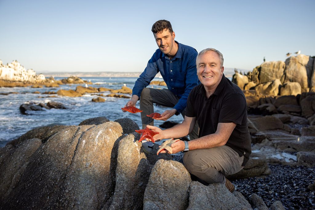 Postdoctoral scholar Laurent Formery (left) and biology Professor Christopher Lowe with starfish on the shore of Stanford’s Hopkins Marine Station, in Monterey, California