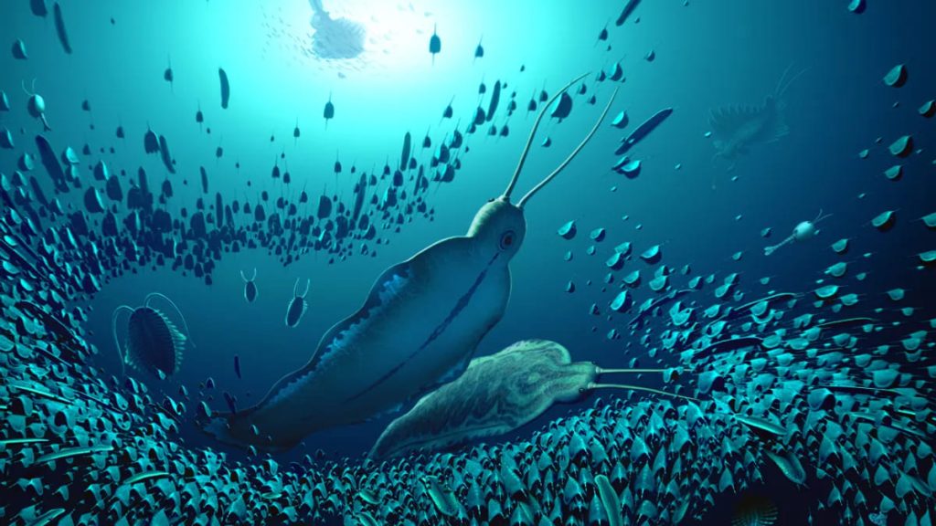Sitting at the top of the food chain, giant Timorebestia were the equivalent threat of sharks and seals back in the Cambrian period.