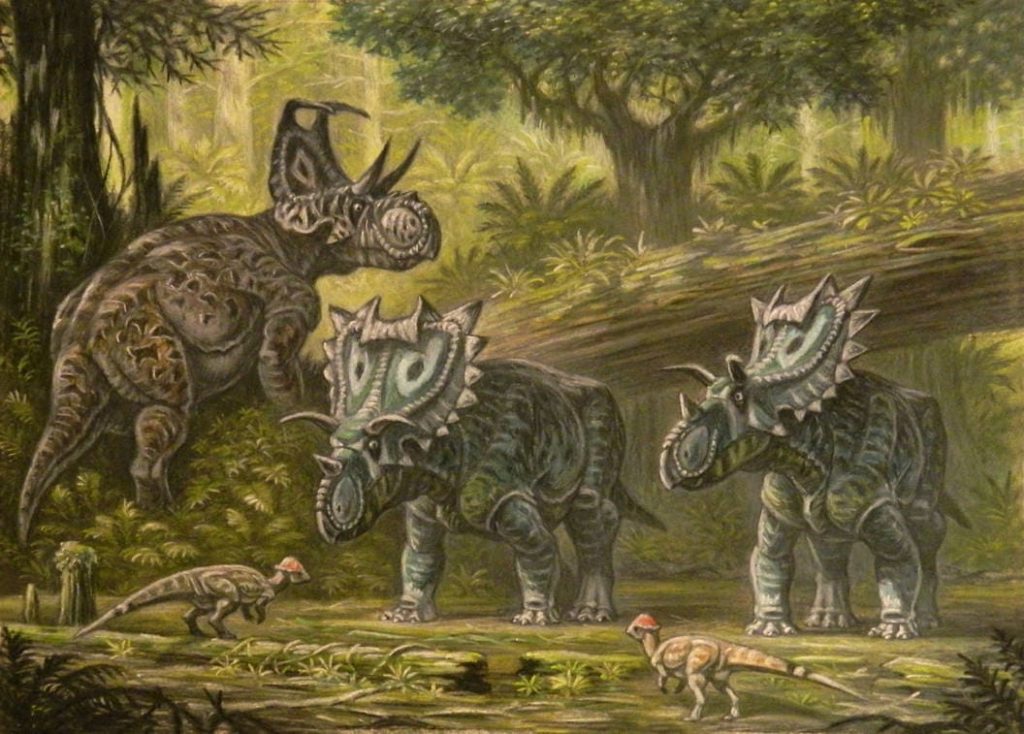 Machairoceratops