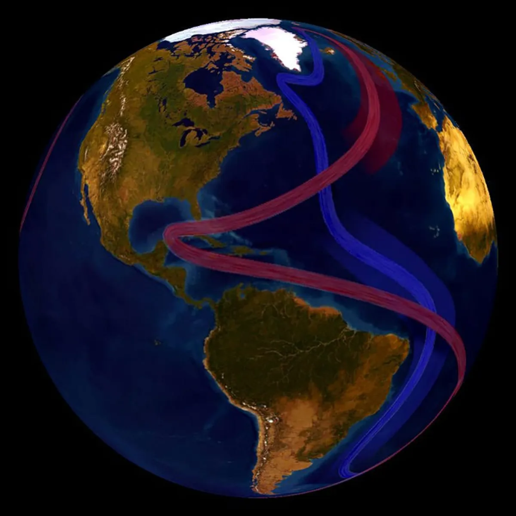 The Atlantic Meridional Overturning Circulation is part of this complex system of global ocean currents that circulates cool subsurface water and warm surface water throughout the world