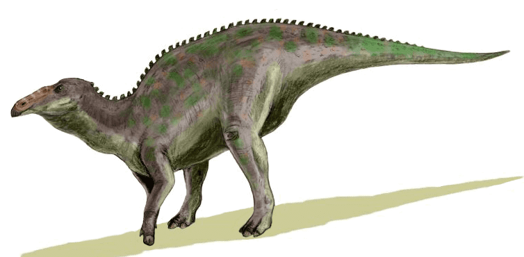 Anatotian