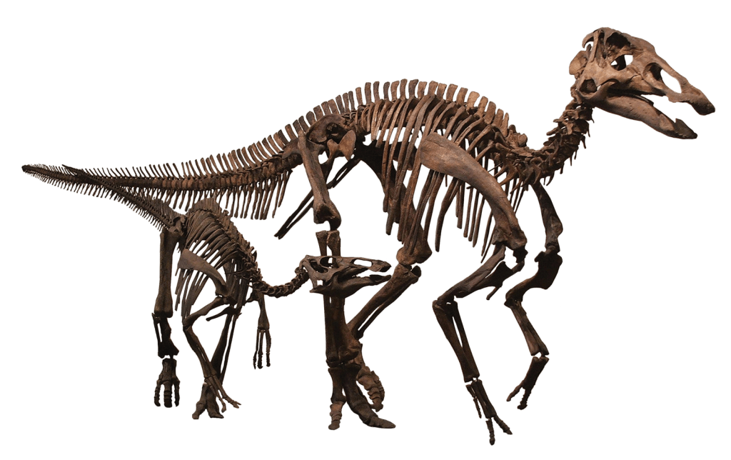 Edmontonsaurus